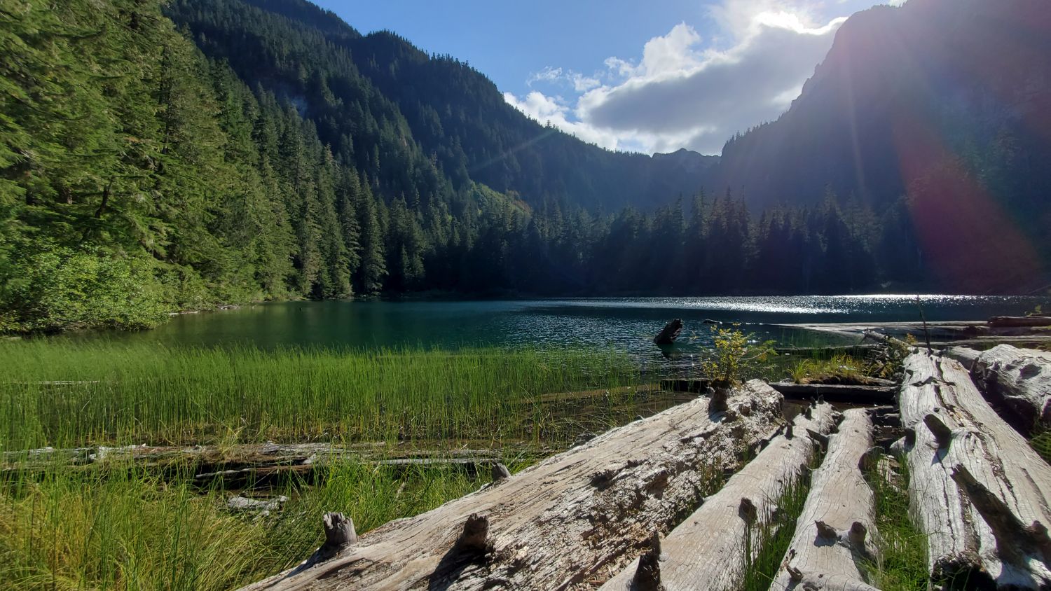 Mount Rainier NP 